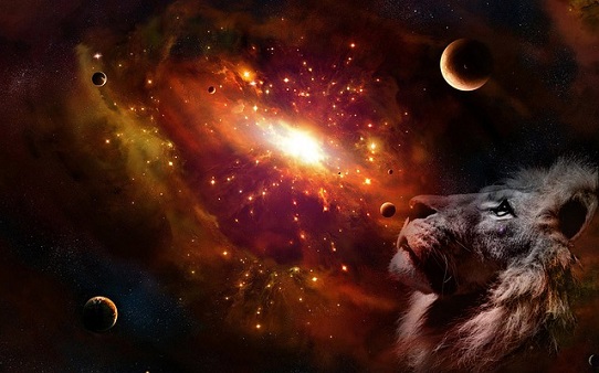 Lion Readings